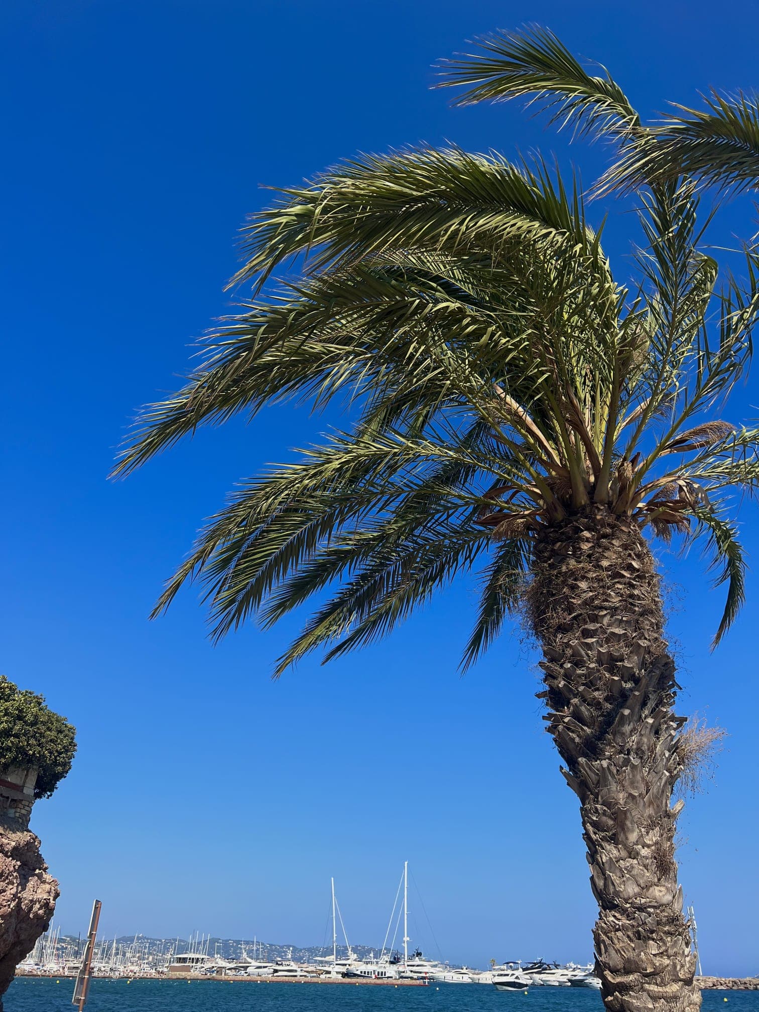 Voiture Privée Venise Monaco: Adriatique à la Méditerranée avec Style
