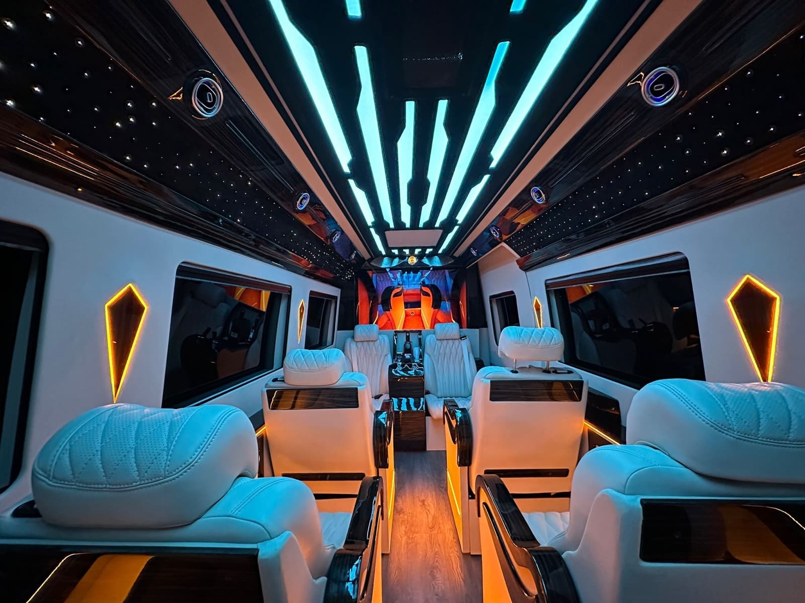 Mercedes Sprinter VIP, photo 2